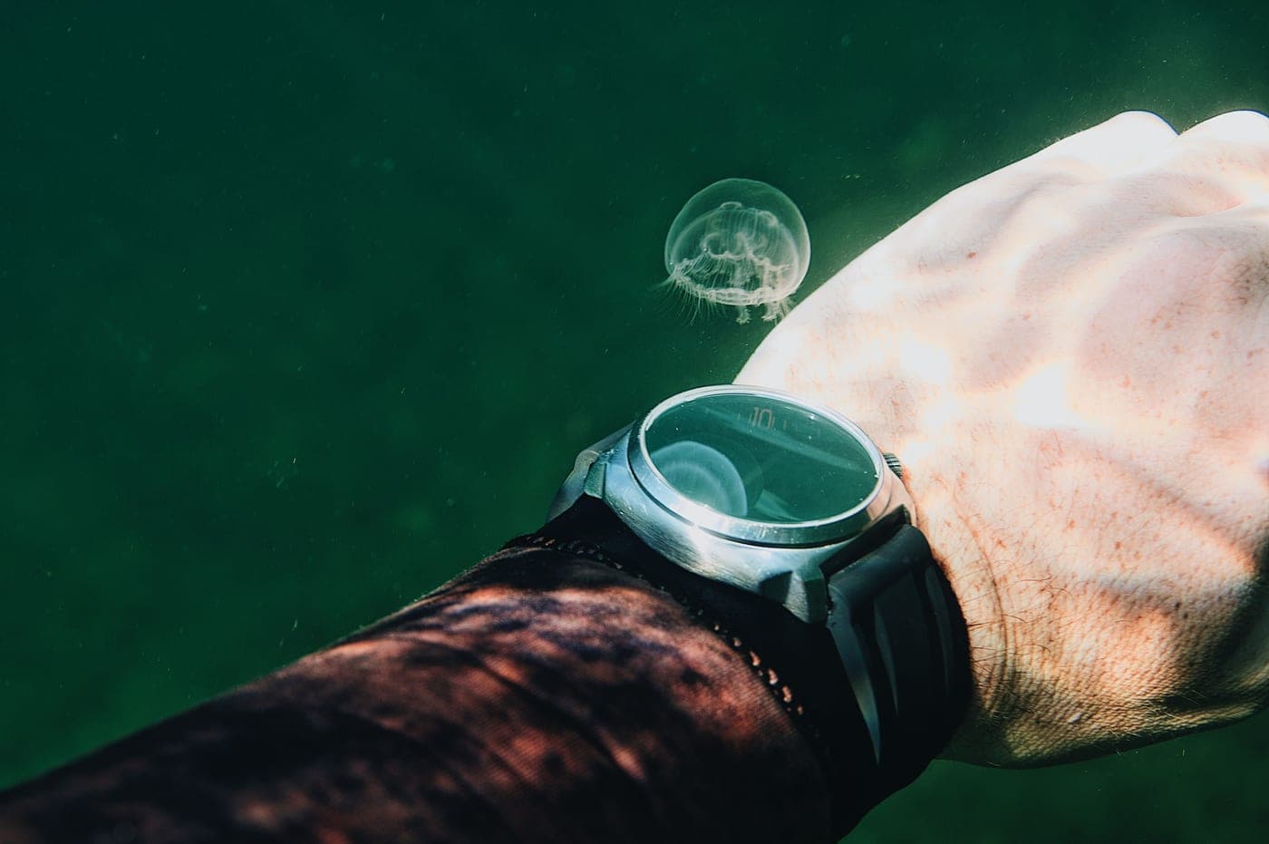 Dive Watches guides